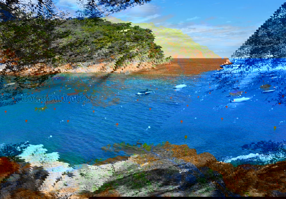 Image, Stock Photo Mallorca from its beautiful side 53