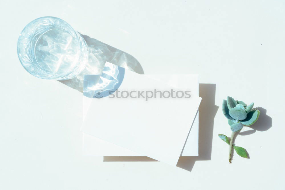 Similar – Image, Stock Photo Flower greeting III