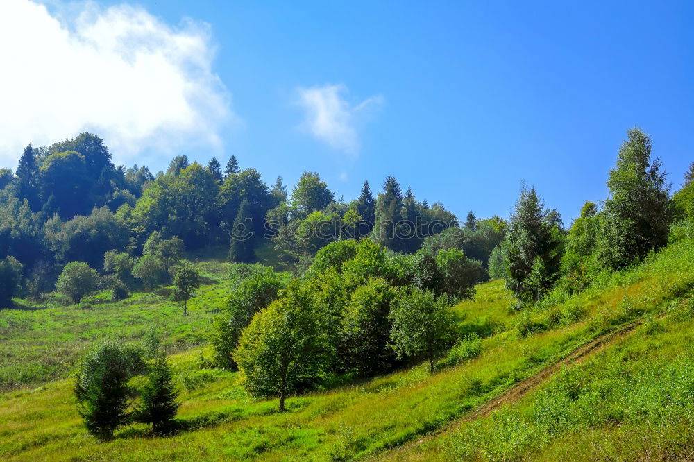 Similar – Image, Stock Photo Between mountain and valley