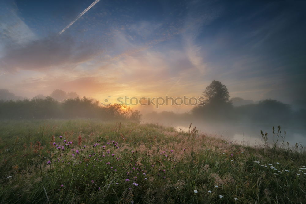 Similar – Image, Stock Photo Summer misty sunrise on the river. Foggy river in morning