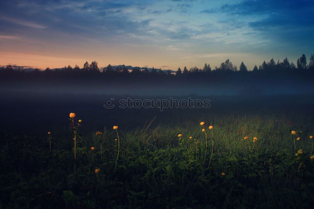 Similar – Blau-Orange Umwelt Natur