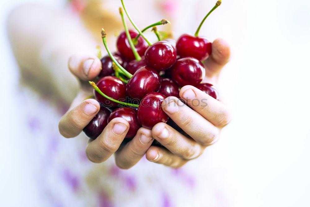 Similar – Old woman’s hands holding blackberries