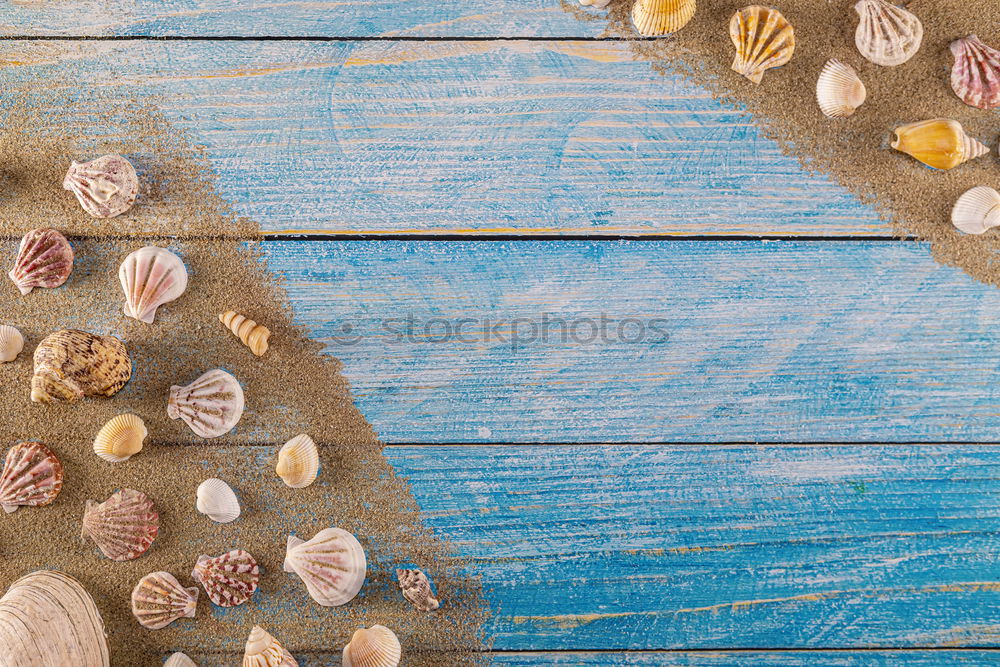 Similar – Image, Stock Photo Spice mixture XIII Food