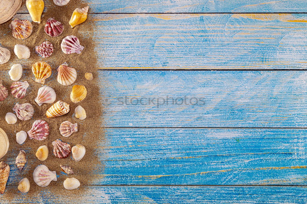 Similar – Image, Stock Photo Autumn leaves and paper on a blue background