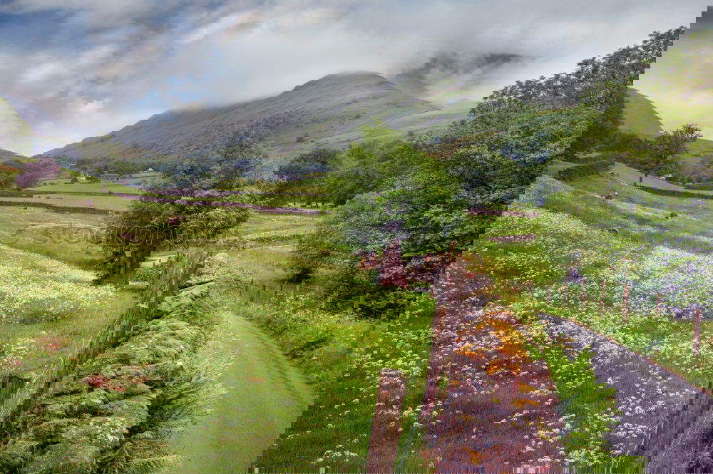 Similar – Foto Bild Linksverkehr Baum Feld