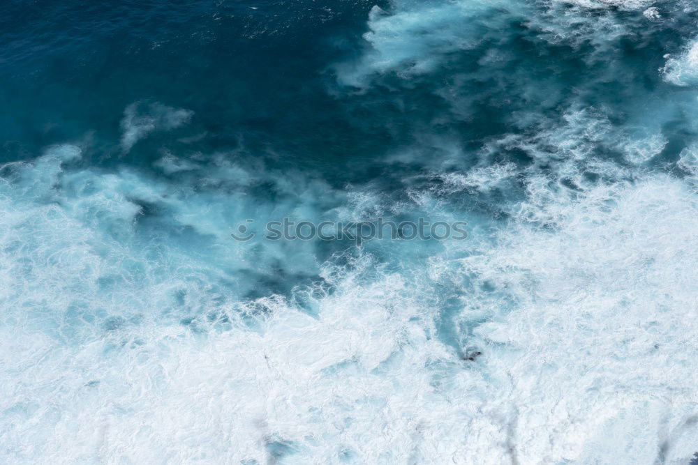 Similar – Image, Stock Photo Seagull (sleep mode) Water