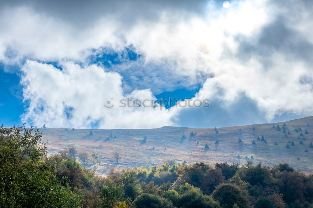 Similar – Image, Stock Photo Landscape Palm Springs III