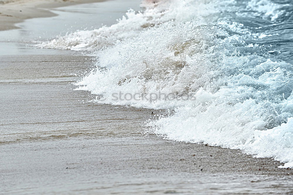 Similar – Foto Bild Träumen Hund Wasser