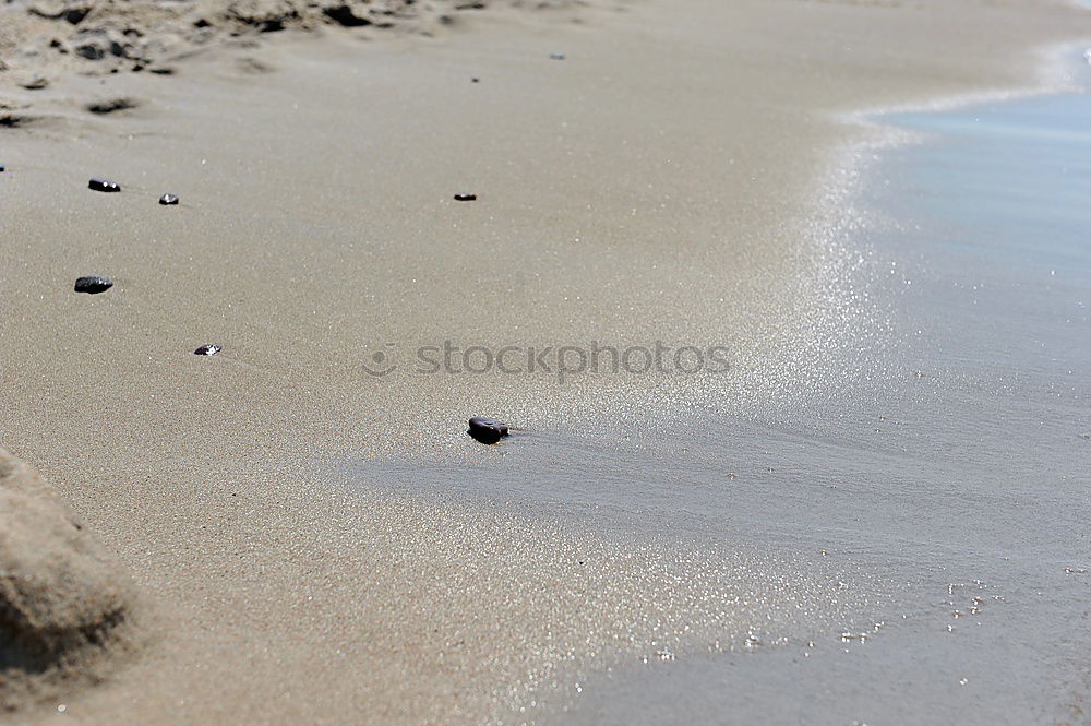 Similar – Image, Stock Photo Mussel on the beach Summer