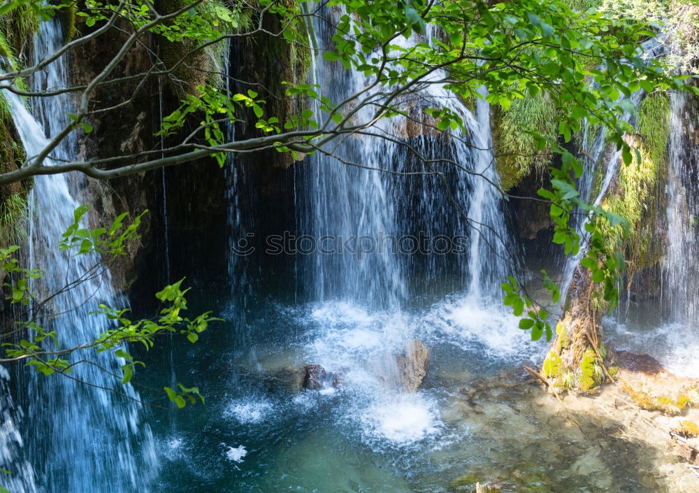 Similar – Foto Bild Krka Umwelt Natur