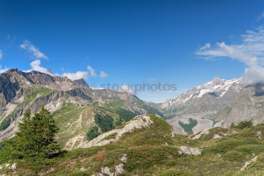 Similar – pilatus Sommer Wald fahren