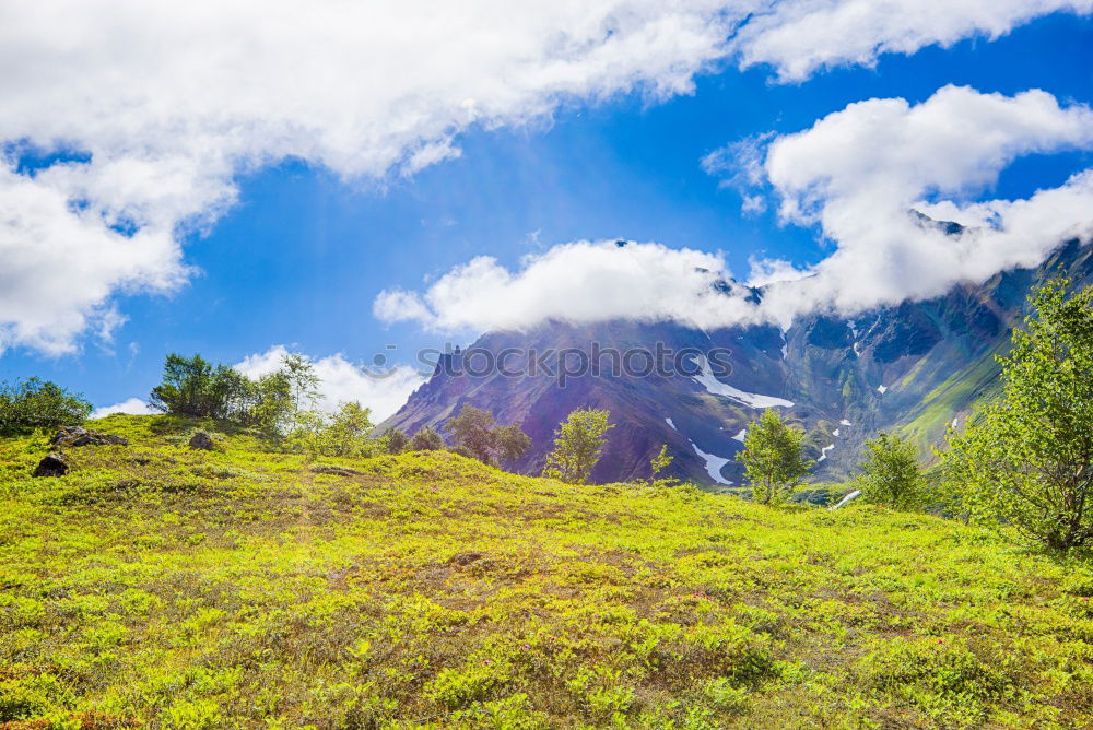 Similar – Image, Stock Photo Panorama from Geishorn