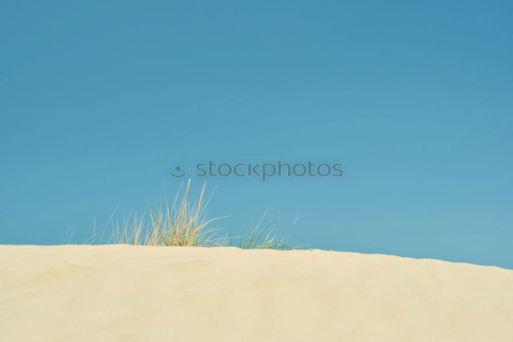 Similar – Image, Stock Photo Silhouette of woman on shore of lake