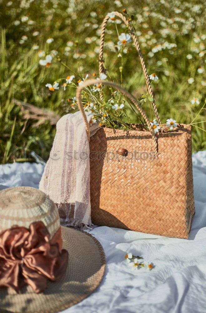 Similar – Picnic Basket Food On White Blanket And Soap Bubbles