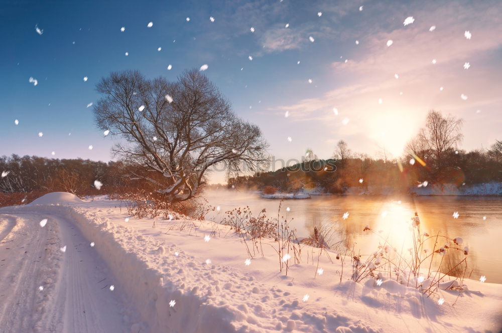 Image, Stock Photo Sunny winter morning on a river