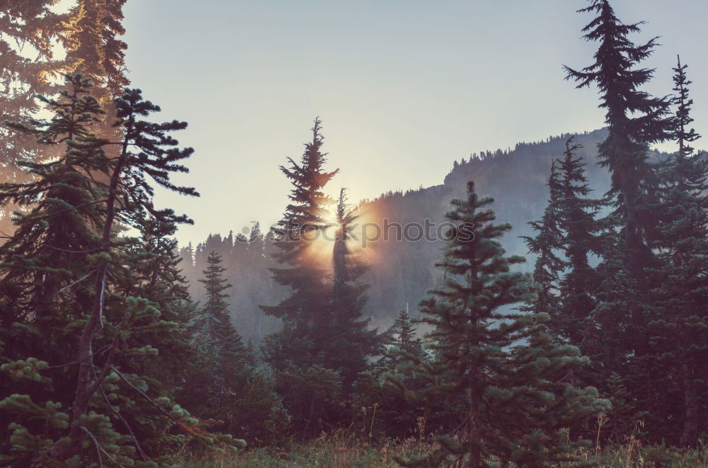 Similar – View from the Unterberg to the foothills of the Alps.