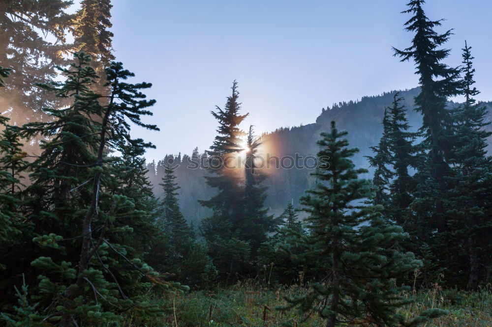 Similar – Yosemite National Park