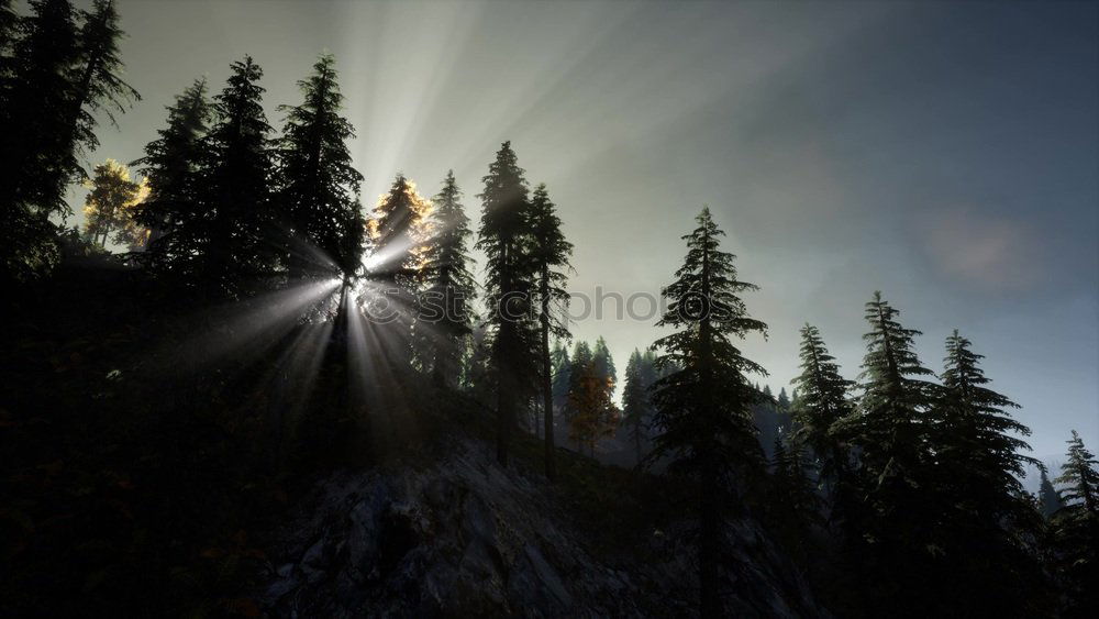 Similar – Image, Stock Photo Ball of light in the snow