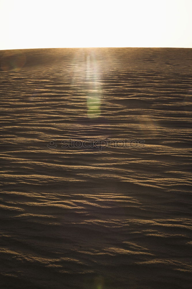 Similar – Monte Generoso Sunrise