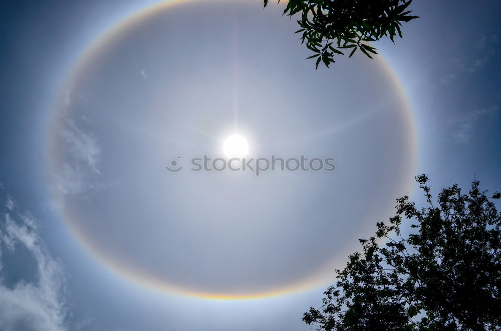 It is freezing cold this morning. Parry arc, circumzenithal arc, halo. Natural phenomenon.