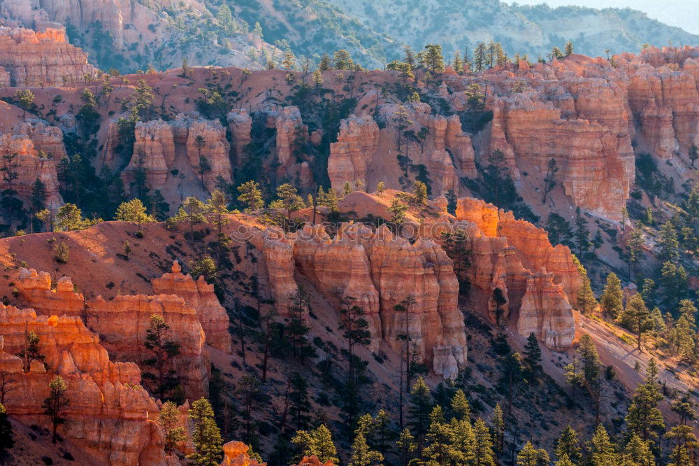 Similar – Foto Bild Goldrausch Herbst Sachsen