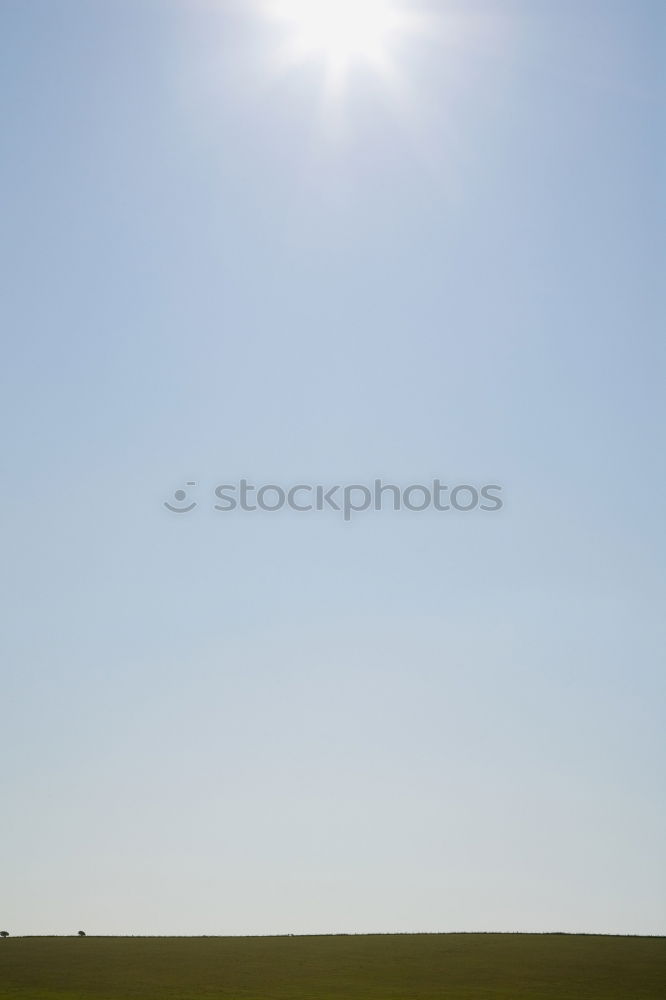 Similar – Image, Stock Photo Green strips with Jala sky