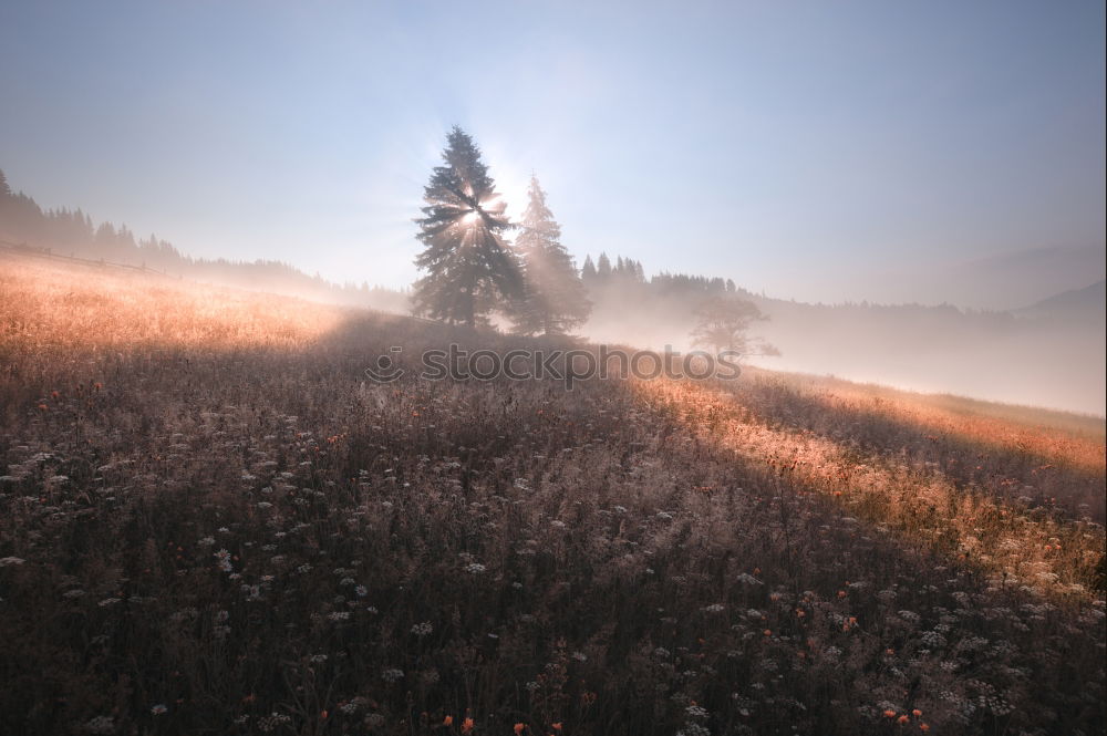 Similar – Image, Stock Photo A hermitage in the distance among autumnal trees and bushes