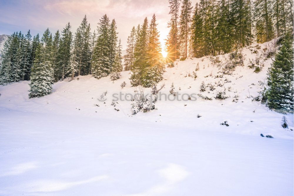 Similar – Christmas Snow Landscape with trees and sunflare, stryn, Norway