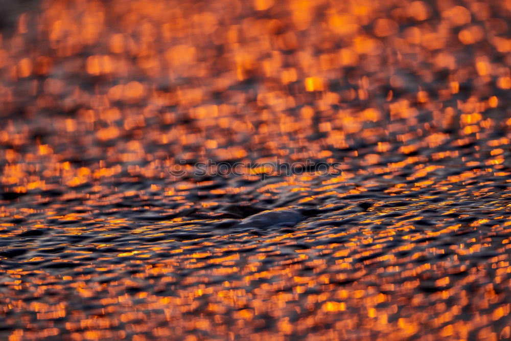 Similar – Image, Stock Photo The spun sun Nature Sun