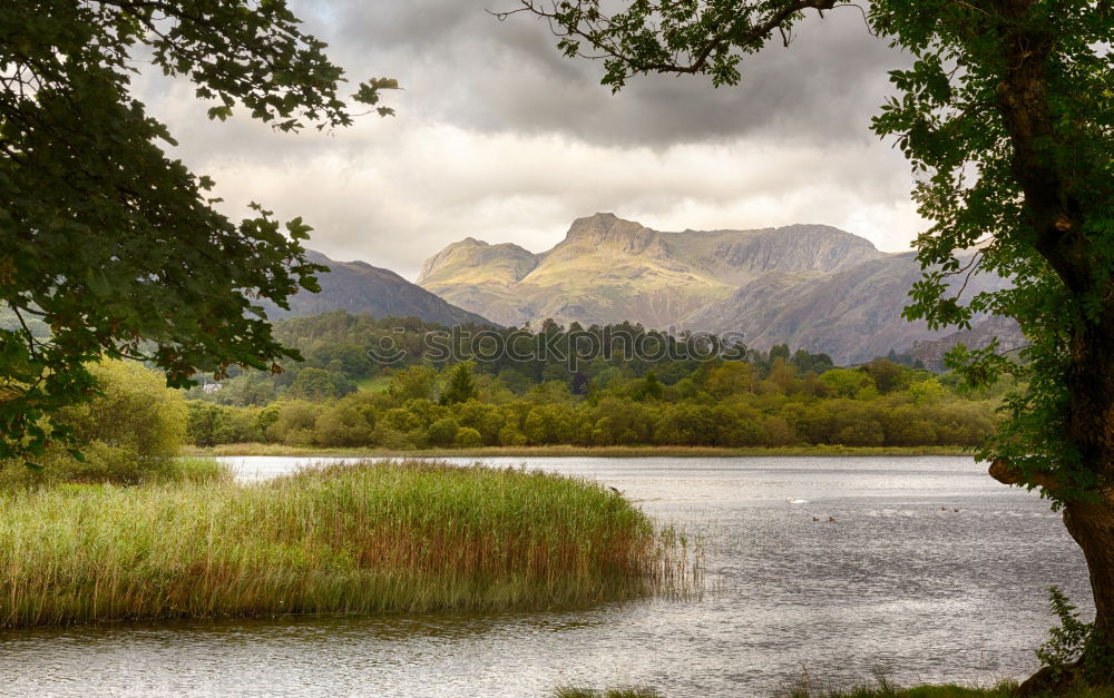 Similar – Ferry Lochs Nature