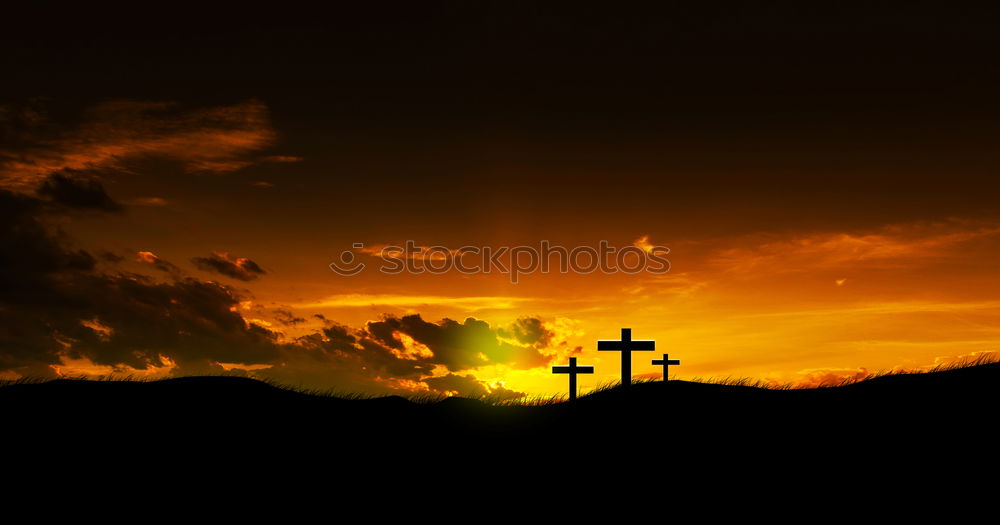 Similar – cemetery sunset Hallowe’en