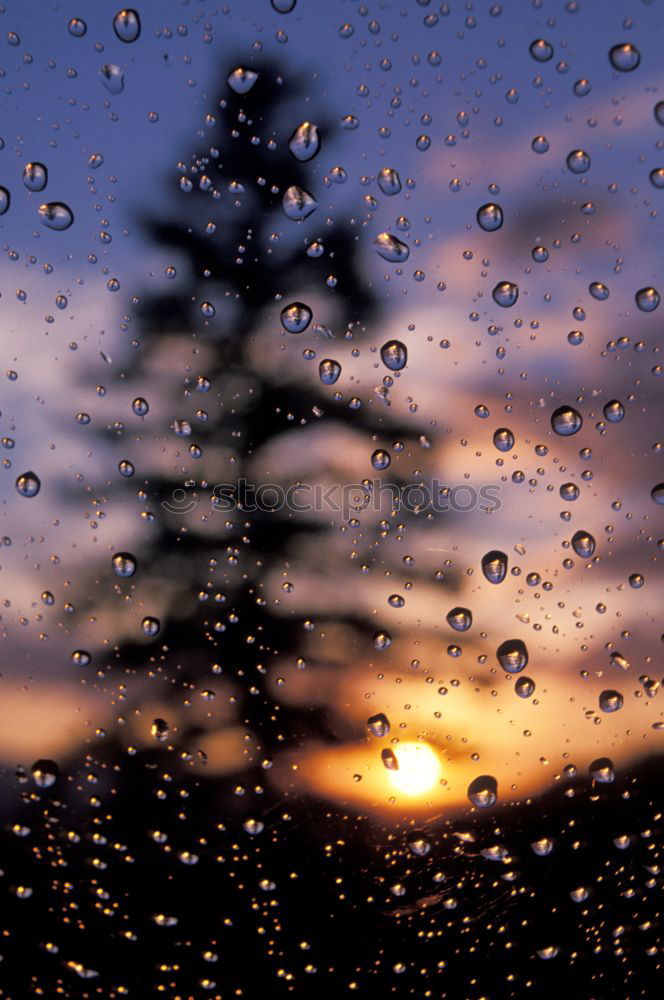 Similar – Raindrops at the window