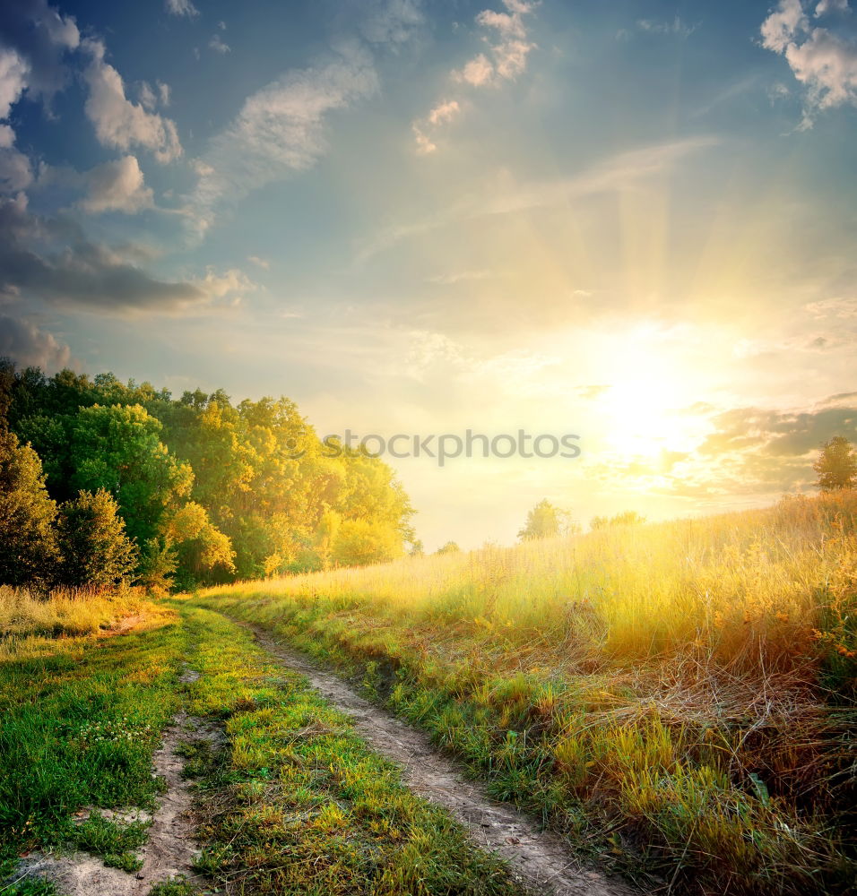 Similar – Foto Bild Nordseelauschen Gras Küste