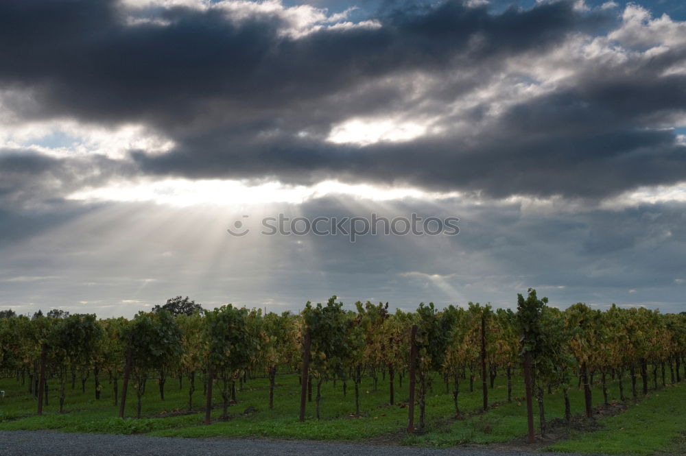 Similar – Image, Stock Photo View of Vienna Environment