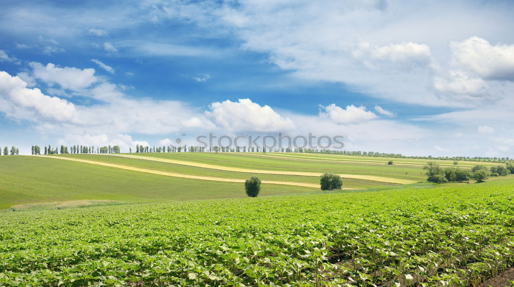 Similar – Tractor and vineyard