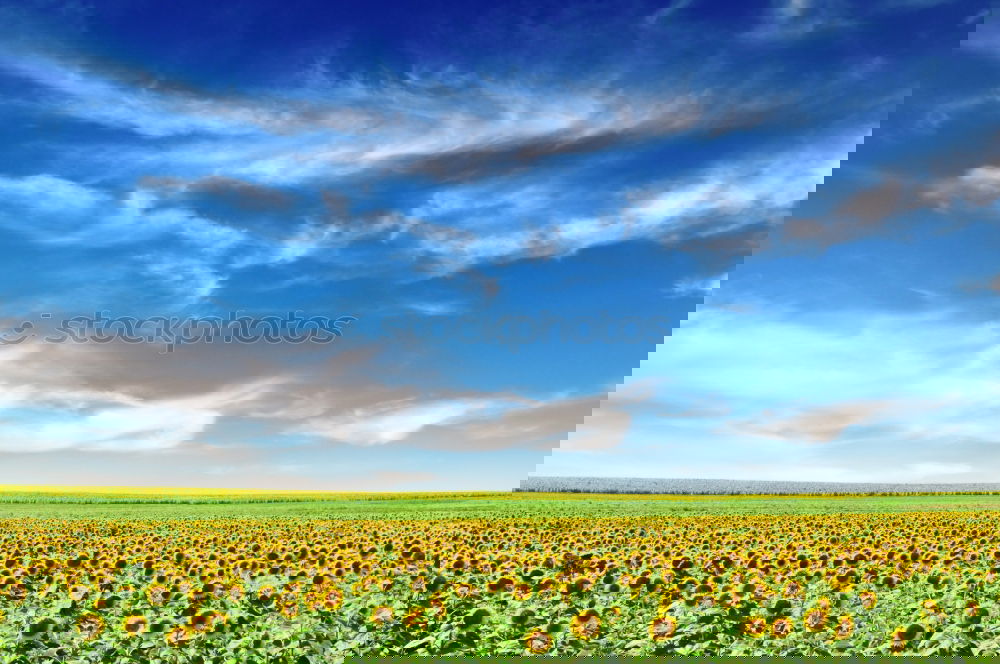 Similar – Image, Stock Photo #Spring Vacation & Travel