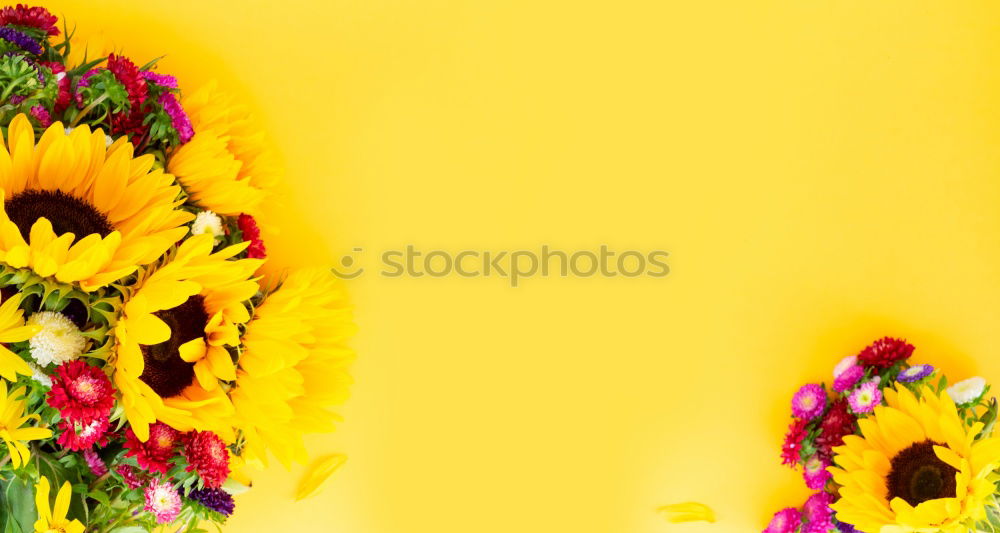 Similar – Image, Stock Photo #AS# Easter Yellow IV Art