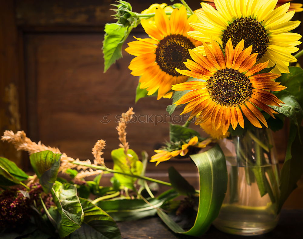 Similar – Image, Stock Photo Autumn bouquet of flowers with sunflowers