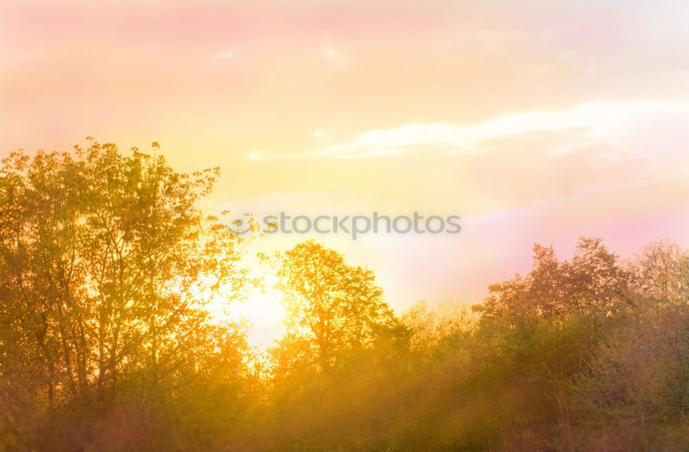 Similar – Image, Stock Photo Cabo de Gata Spain