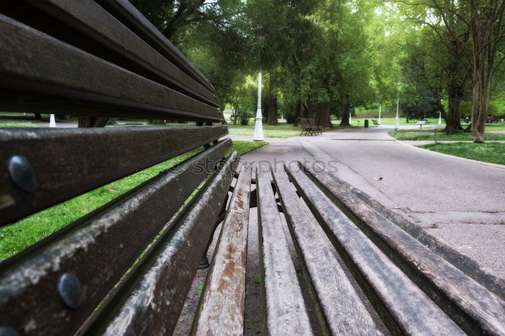Similar – Foto Bild sitz!platz! wandern Park