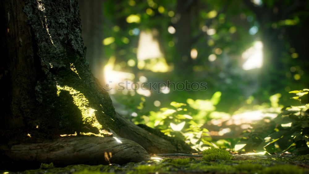 Similar – Image, Stock Photo Tom Sawyer and Huckleberry Finn