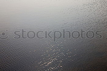 Similar – Foto Bild Ufer Wasser Wellen Küste