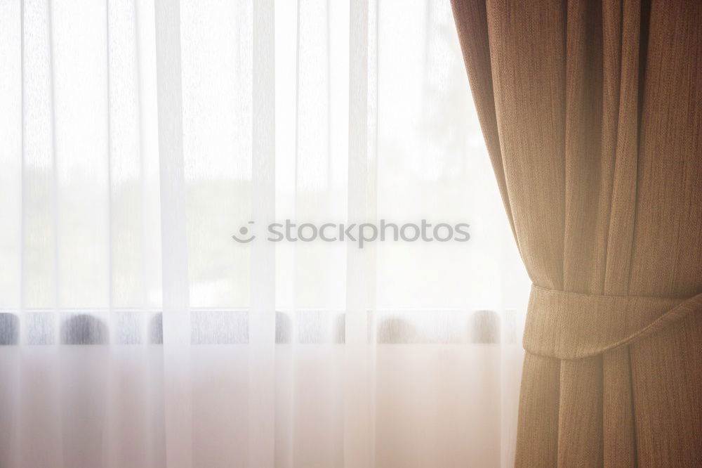 Opened window with curtains and flowered curtains