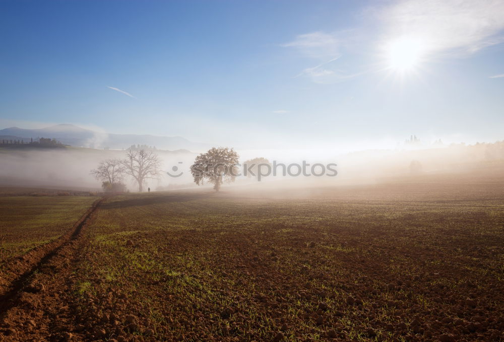 Similar – Himmel, Nebel, Gras & Bäume