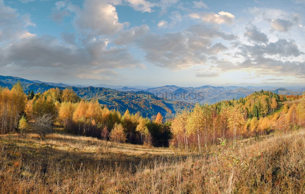 Similar – Image, Stock Photo Moselle Wine Landscape in Bright Autumn Colours