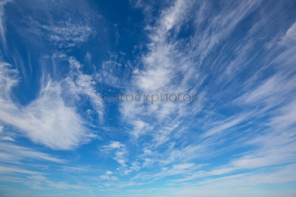 Image, Stock Photo the wind loves the grass