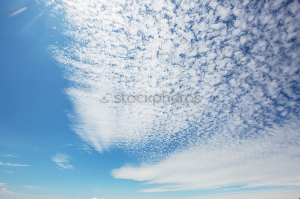 Similar – Image, Stock Photo Half and half Wood Clouds