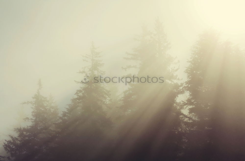 Similar – Image, Stock Photo Hills in Tuscany in the evening light