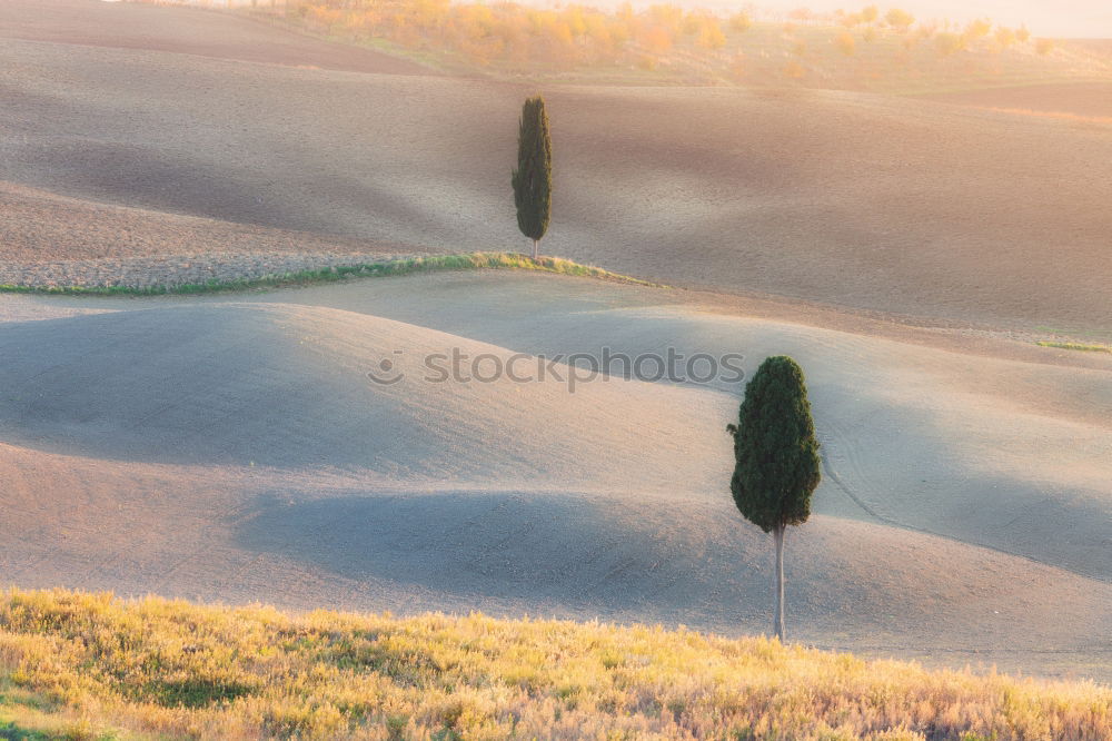 Similar – Val d’Orcia, Tuscany, Italy