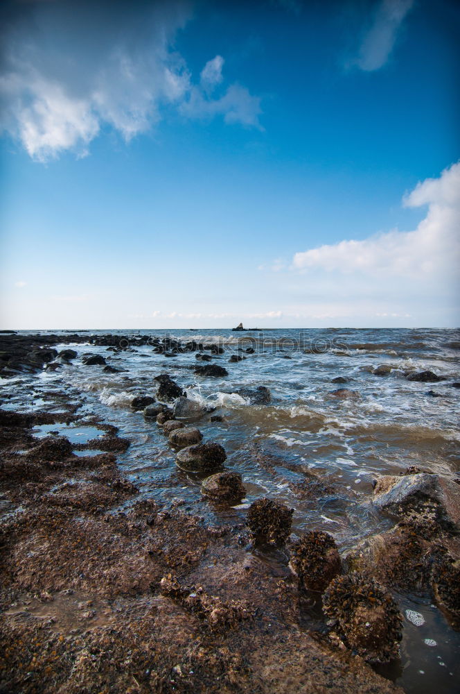 Similar – Image, Stock Photo Baltic Sea beach Heiligendamm